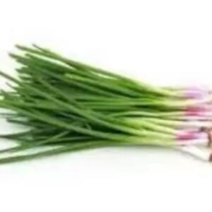 spring onion