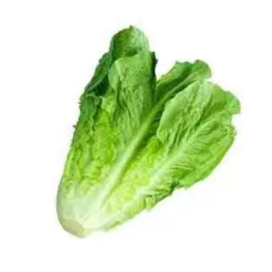 lettuce