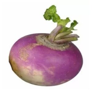 turnip