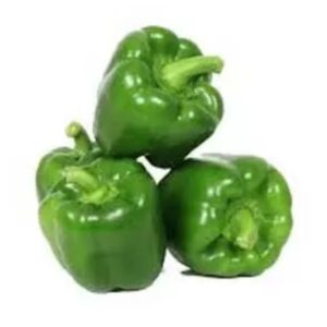 capsicum