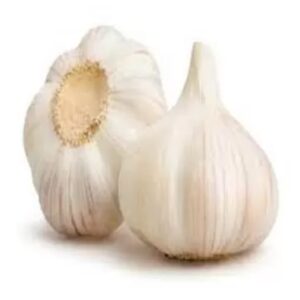 garlic