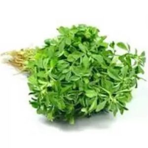 fenugreek