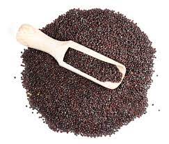 mustard seeds