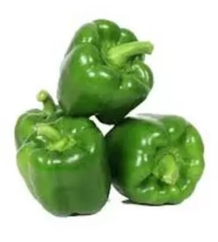 capsicum